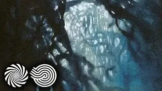 Frogacult - All Seasons