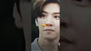 I miss hidden love 💗 #hiddenlove #zhaolusi #chenzheyuan #duanjiaxu #sangzhi #cdramaclips #tiktok