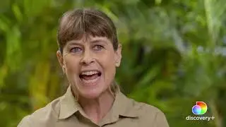 who remember Stomp the cassowary # subscribe
