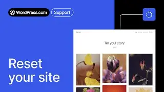 Thinking of Resetting Your WordPress Site? Watch This First!