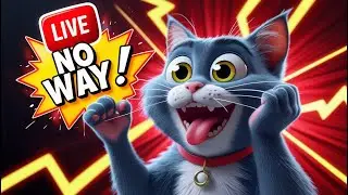 Funny Tom moments 5 🐈 😂😂 #live #funnytom #funnycatlive #funnytomlive #ASMR #TomASMR
