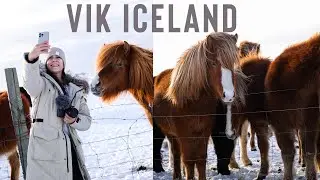 Lauren Fisher - Day Trip to Vik, Iceland