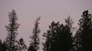 indie folk / phoebe bridgers / bon iver type beat “happens all the time”