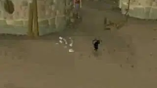Runescape Spy Monkey