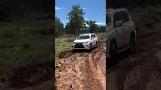 2017 Lexus GX 460 VS Mud (the road to Toroweap)