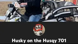 1rst ever Solo off-road motorcycle camping with a big dog!