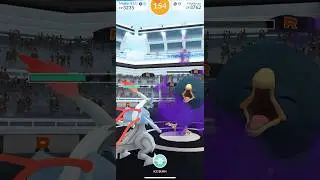 [Pokemon GO] Shadow Murkrow #pokemongo #pokemon #shadow #murkrow