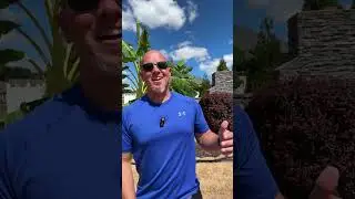 FREE SaaSPRENEUR Workshop with Frank Kern!  Link in comments!  #shorts