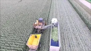 Minnesota Sweet Corn Harvest 2015