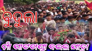 Maa Patkhanda Bail Jatra// BUDULA//Date.09.10.2022//#maapatkhanda