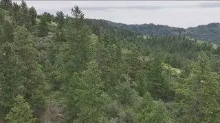 Battleground: Idaho's land wars &ndash; public access with a purpose