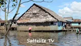 Morgan & Lea - Amazon River