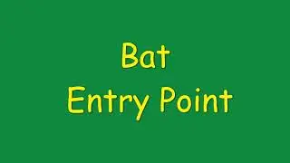 Bat Entry Point :  What Does One Look Like?