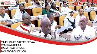 Yaa'ii Idilee Caffee 6ffaa waggaa 3ffaa Bara Hojii 6ffaa,  Guyyaa Lamaffaa