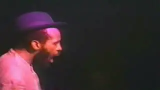 EEK A MOUSE  WHAT ME AGO DO Santa Cruz Ca 1995