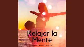 Escuchar M&aacute;s