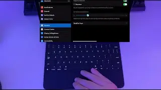 iPad Pro Magic Keyboard How to Adjust Brightness
