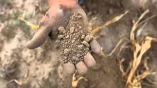 CTV NEWS - Economic Impact of Drought