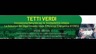 Tetti verdi (parte 8):  Diagnosi energetica degli edifici