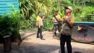 Travel Life(Vlog 10: Bird Show at KL Bird Park, Malaysia)