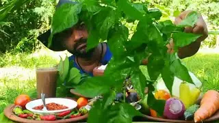 Raw Bonnet pepper leaves with Black eyed peas and fried Fish salaya/ Food Eating Show [ASMR]
