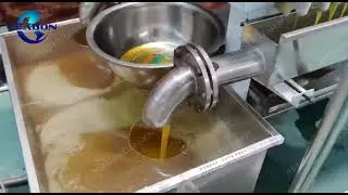 Plate and Frame Filter Press Machine for Oil Processing