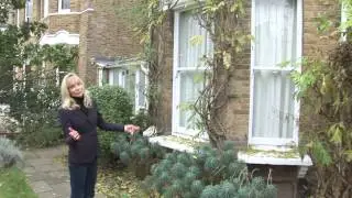 PROPERTY FILM