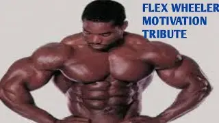 FLEX WHEELER MOTIVATION TRIBUTE /   FEARLESS