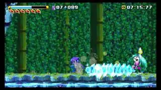 Freedom Planet Boss 10 Neera Li vs Sash Lilac Wii U/NX? Frezhor All Nintendo Fans United!