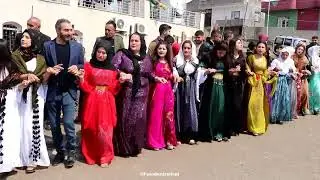Velat Tatlı Düğünü Part 3 Sorbitmi Aşiretinin Görkemli Düğünü Hozan Temer silopi