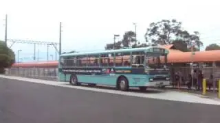 Ventura Bus Lines #16 (Leyland Tiger)