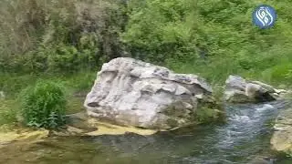قرية آذار . ريف جسر الشغور