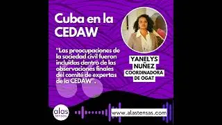 CEDAW reconoce exigencias de sociedad civil dentro de sus observaciones finales al r&eacute;gimen cubano