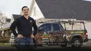 AAAC Wildlife Removal of Phoenix - Squirrel Abatement Attic Tempe