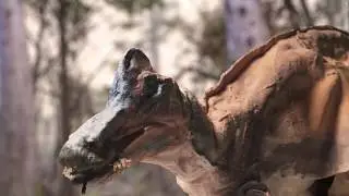 Corythosaurus casuarius - Lanzendorf Submission