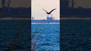 US NAVY REDEPLOYS FAST RESPONSE TEAM #ship #vessel #warship