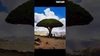 এই দ্বীপটা দেখলে মনে হবে আপনি ভিনগ্রহে আছেন | lost World বাংলা | #shorts #viralvideo