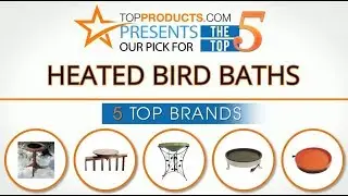 Best Heated Bird Bath Reviews  &ndash; How to Choose the Best Heated Bird Bath