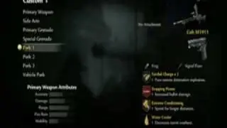 Call Of Duty 5 Beta Class Options