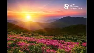 Why The Need For Low Season Travel