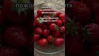 Идея не моя! #хочувреки #подпишись #клубника #cat #залети #актив #шортс