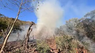 First Jhum Cultivation after Marriage/ Process of making Charcoal during free time