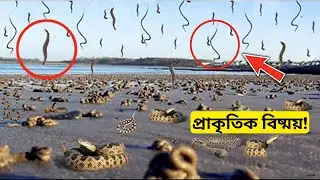 Top 6 Most Dangerous Natural Phenomenon In The World | Pranicharge
