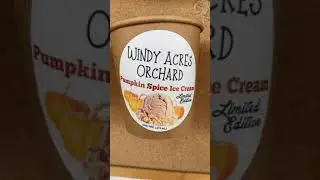 Pumpkin Picking 🎃 Windy Acres Farm Long Island Calverton NY USA Halloween autumn season 2021
