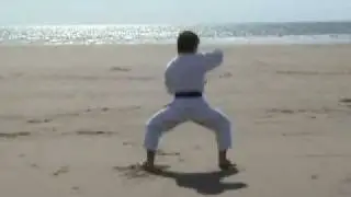 the dojo is everywhere