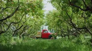 Covert Farms Family Estate in BC's Okanagan