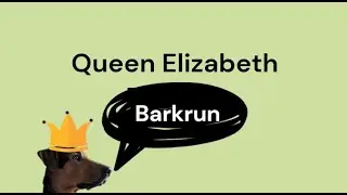 Queen Elizabeth Parkrun - Best dog friendly Parkrun ever!