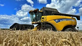 Żniwa 2023 w GR Kasztelan 2023 - NEW HOLLAND CX760 | VALTRA + KRONE COMPRIMA CV 150 XC PLUS