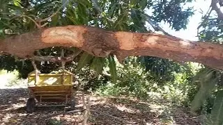 Esse rem&eacute;dio n&atilde;o me s&eacute;rvio 