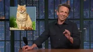 Seth Meyers Wishes National Hug Your Cat Day